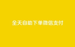 ks全天自助下单微信支付,代刷空间访客量排名 - 快手自助业务网 - ks点赞网