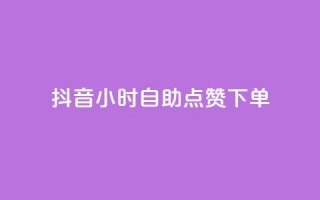 抖音24小时自助点赞下单 - 抖音24小时快速自助点赞服务，轻松点亮你的视频~