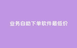 ks业务自助下单软件最低价 - 最优惠的ks业务自助下单工具!