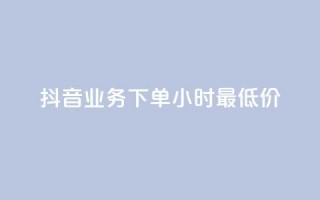 抖音业务下单24小时最低价 - 抖音业务下单享受24小时最低优惠价格!