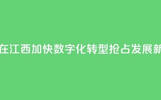 台商在江西：加快数字化转型 抢占发展新赛道