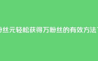 1元3万粉丝 - 1元轻松获得3万粉丝的有效方法~