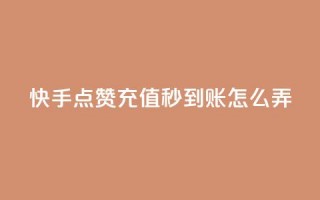 快手点赞充值秒到账怎么弄,粉丝业务平台代理 - 九梦百货商城自助下单 - 在线刷qq空间访客数量