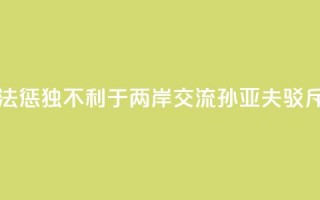 大陆依法惩“独”不利于两岸交流？孙亚夫驳斥