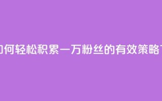 快手如何轻松积累一万粉丝的有效策略