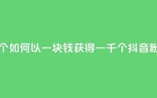 抖音粉丝一块钱一千个 - 如何以一块钱获得一千个抖音粉丝的方法揭秘~