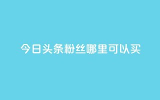 今日头条粉丝哪里可以买 - 在哪里可以购买今日头条粉丝？!