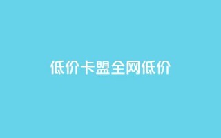 低价卡盟全网低价 - 点赞辅助器