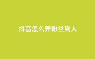 抖音怎么弄粉丝到500人,Q赞网 - 抖音免费涨1w粉软件 - 全网最低价游戏辅助卡盟