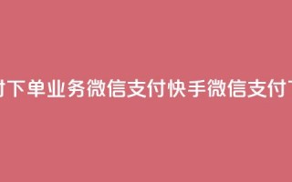 快手24小时下单业务微信支付(快手微信支付下单24小时)