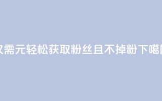 仅需1元轻松获取3000粉丝且不掉粉