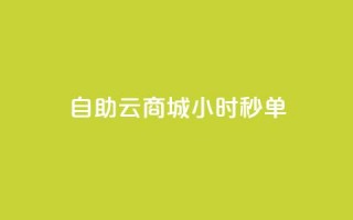 自助云商城24小时秒单,低价下单平台业务 - qq主页名片点赞1元一万 - QQ空间刷人气工具