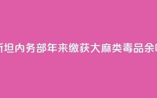 哈萨克斯坦内务部：10年来缴获大麻类毒品230余吨