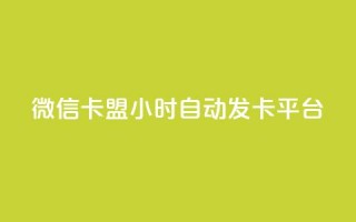 微信卡盟24小时自动发卡平台,云小店24小时下单平台 - 拼多多自动下单脚本 - 拼多多砍一刀代砍