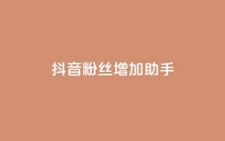 抖音粉丝增加助手 - 提升抖音粉丝的有效助手攻略。