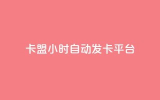 卡盟24小时自动发卡平台,卡盟自助下单24小时平台 - 卡盟24小时下单平台抖音 - 抖音涨流量网站