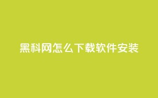 黑科网怎么下载软件安装 - 如何在黑科网下载并安装软件~