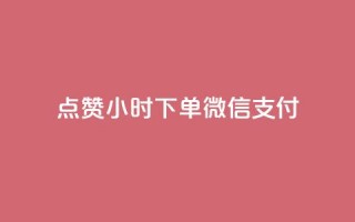 点赞24小时下单微信支付 - 24小时内轻松下单，微信支付便捷无忧!