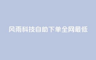 风雨科技自助下单全网最低 - 风雨科技自助下单，价格最低，全网首选!