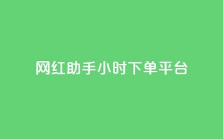 网红助手24小时下单平台 - 24小时下单平台，携手网红助手，助你快速在线购物~