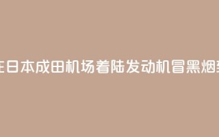 新航波音客机在日本成田机场着陆 发动机冒黑烟致跑道一度关闭