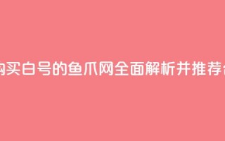 dy白号购买鱼爪网 - 购买dy白号的鱼爪网，全面解析并推荐合适的选择~