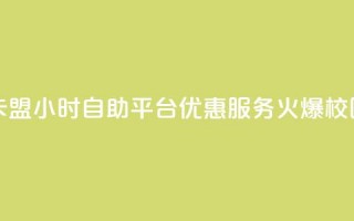 卡盟24小时自助平台优惠服务火爆校园