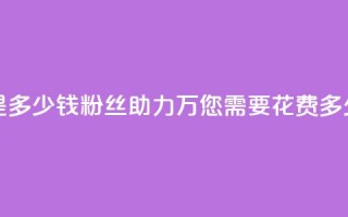 粉丝助力100万是多少钱 - 粉丝助力100万，您需要花费多少金钱？~