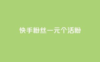 快手粉丝一元1000个活粉,快手免费涨关注 - QQ空间访客业务 - qq黄钻便宜充值网站