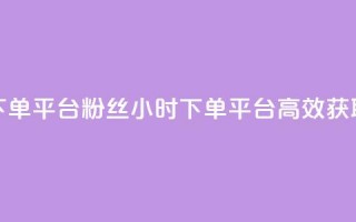 dy24小时下单平台粉丝(dy24小时下单平台，高效获取粉丝)