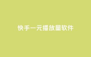 快手一元10000播放量软件 - 快手一元达成10000播放量小工具！