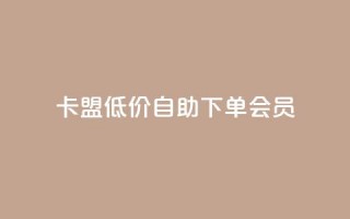 卡盟低价自助下单会员,拼多多在线助力接单 - 拼多多砍价一元10刀 - 拼多多助力最后一步免单