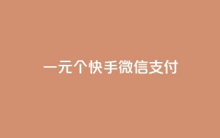 一元10个快手微信支付 - 快手点器怎样使用视频教程