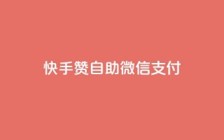 快手赞自助微信支付,快手业务在线下单平台全网最低 - 子潇24小时下单 - 空间访问量50000免费