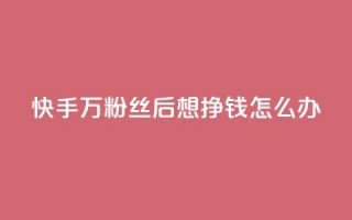 快手1万粉丝后想挣钱怎么办 - 快手达到一万粉丝后如何变现指南~