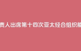 中国国家能源局负责人出席第十四次亚太经合组织能源部长会议