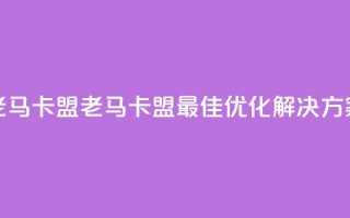 老马卡盟(老马卡盟：最佳SEO优化解决方案)