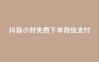 抖音24小时免费下单微信支付,QQ动态自动秒赞 - 抖音业务24小时在线下单商城 - 抖音网站全网最低价啊