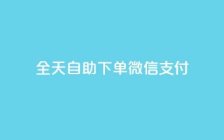 ks全天自助下单微信支付 - 快手业务平台24小时在线