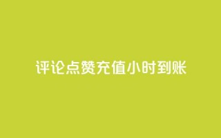 dy评论点赞充值24小时到账,快手真人粉丝平台 永不掉粉 - 快手业务平台网站官网 - KS低价业务下单平台