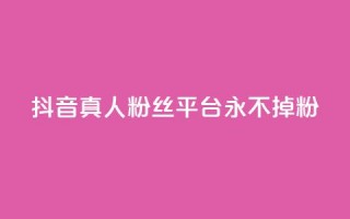 抖音真人粉丝平台 永不掉粉,抖音赞平台全网最便宜 - 拼多多助力网站在线刷便宜 - 拼多多蓝天助手