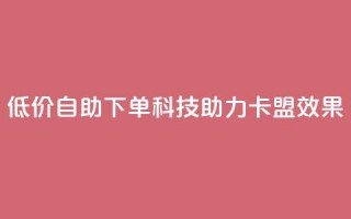 低价自助下单科技助力卡盟SEO效果