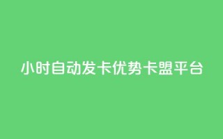 24小时自动发卡，优势pubg卡盟平台