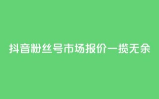 抖音粉丝号市场报价一揽无余