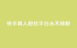 快手真人粉丝平台 永不掉粉,qq云商城24小时自助下单软件 - 快手打call怎么买 - dy业务自助下单软件