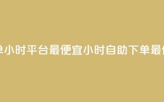 自助下单24小时平台最便宜(24小时自助下单最低价平台)