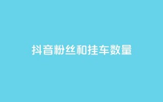 抖音粉丝和挂车数量 - 重写后的标题可以是“抖音用户数量与视频播放次数”!