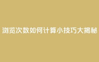 浏览次数如何计算？SEO小技巧大揭秘