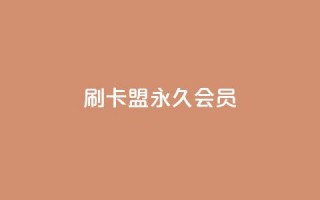 刷卡盟qq永久会员 - 刷卡盟QQ会员永久享受特权。