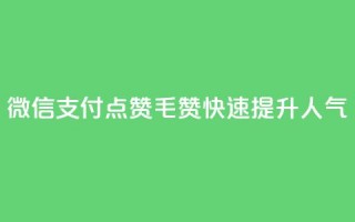 微信支付，qq点赞1毛10000赞，快速提升人气